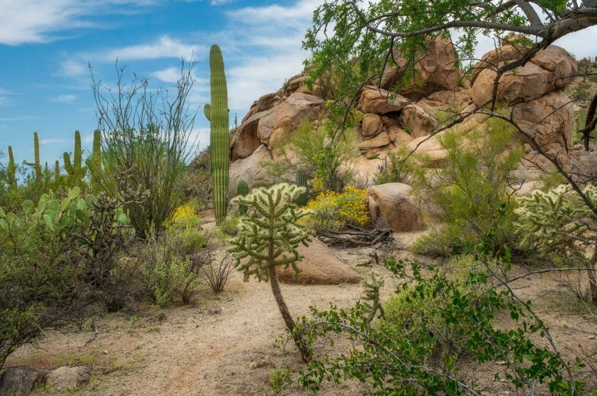 Tucson Arizona