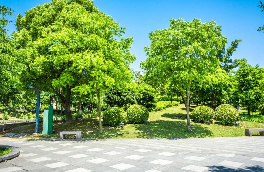 City Park