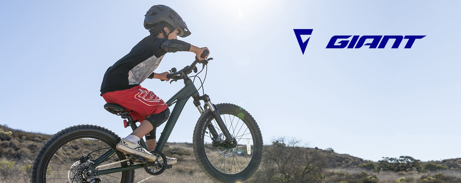 Giant vs. Trek Bikes Which is The Best Option?