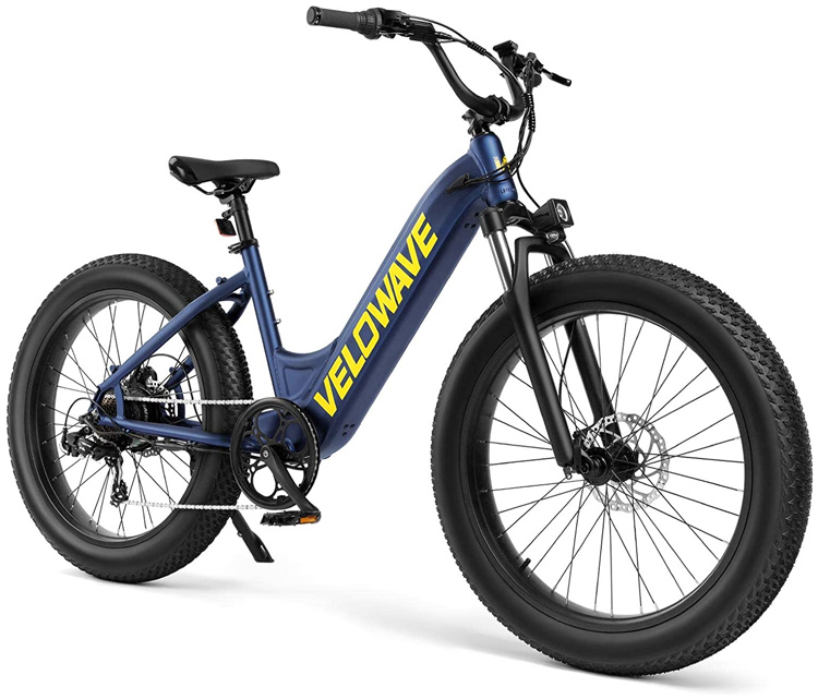 Velowave Electric Bike 750w