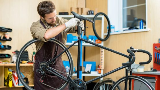 Bicycle Maintenance