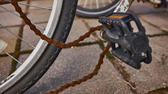 Broken Rusty Bike Chain