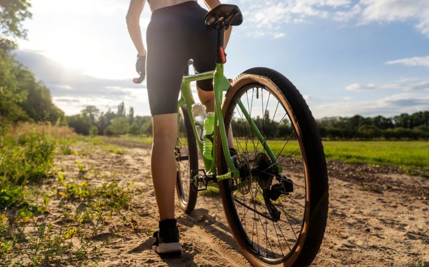 best pavement bikes