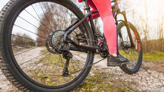 Young Woman Excursion With Her Bicycle