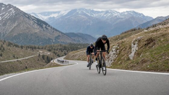 Road cyclists climbing through alpine mountains